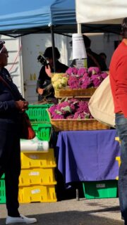 Hudson Farmers market. September 27, 2025. Nice autumnal day.🍁