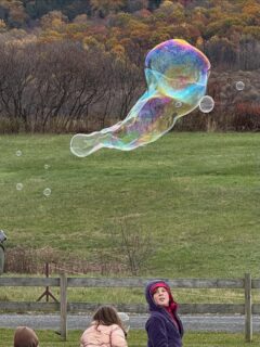 Our last market at Copake-Hillsdale for the season. The official last day for CHFm is next Saturday (11/22/2025). Many wonderful products still available!asialuna.com