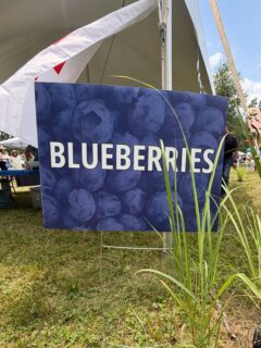 Blueberry Festival 7/26/2026. asialuna.com